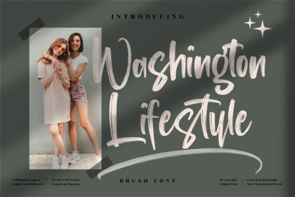 Washington Lifestyle: A Whimsical Script Font